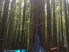 -山王坪喀斯特国家生态公园