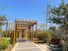 -福田红树林生态公园