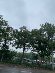 -HEYAN长风荷妍专业脱毛美肤
