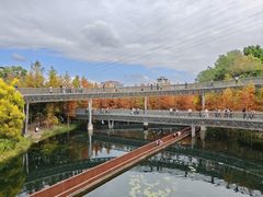 -福道