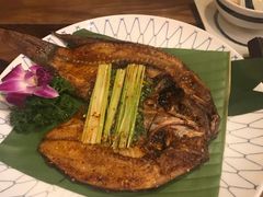 -紫滇源云南生态菜(丹凤街店)