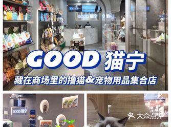 藏在商场里的撸猫和宠物用品集合点店！