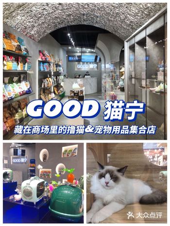 藏在商场里的撸猫和宠物用品集合点店！