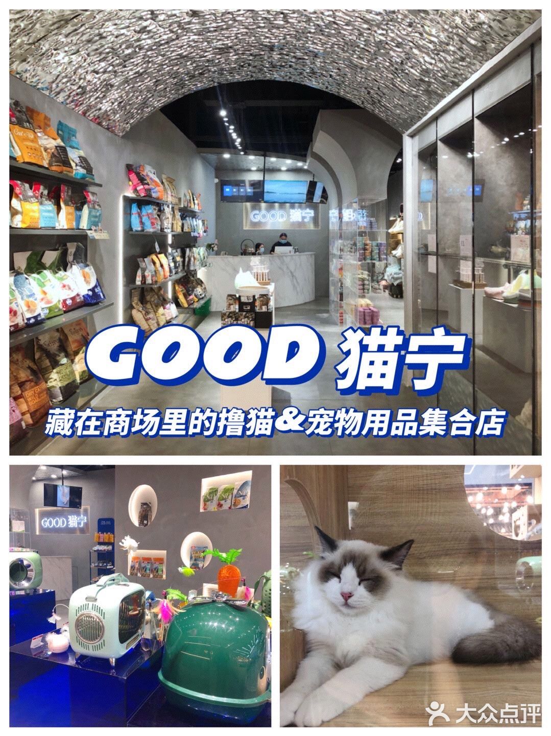 藏在商场里的撸猫和宠物用品集合点店！