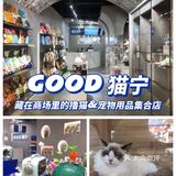 藏在商场里的撸猫和宠物用品集合点店！