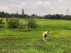 -西安汉城湖景区