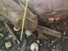 -龙坑生态保护区