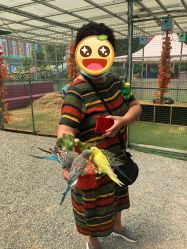 -萌宠亲子动物乐园(槐房万达店)