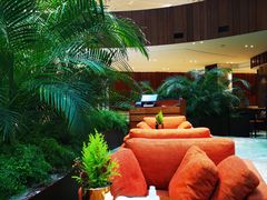 大堂-北京望京凯悦酒店The Lounge大堂酒廊