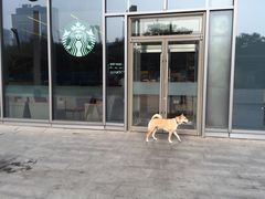 -星巴克(北京三里屯SOHO一店)