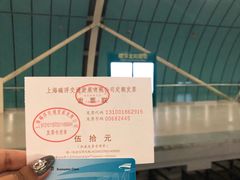 -龙阳路磁悬浮列车总站-停车场