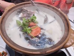 -全乐鱼馆·淳牌有机鱼直营店