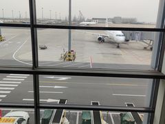 -鮮而純面馆(浦东店)