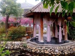 -观唐（国际）度假村温泉
