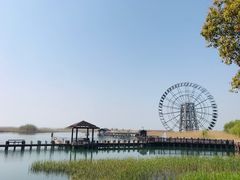 -苏州太湖湖滨国家湿地公园