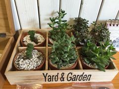 iphone_upload_pic-长颈鹿咖啡(大学路店)