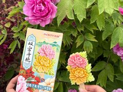 -洛阳市隋唐城遗址植物园