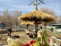 -水上乐园·欢乐世界