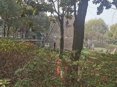 -蠡湖大桥公园