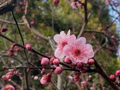 -静安雕塑公园