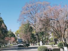 -云南师范大学(一二一西南联大校区)