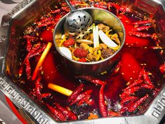-蜀九香火锅(九眼桥店)