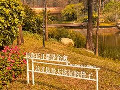 -云溪植物园
