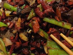 -福苗小骆驼烧烤(大唐不夜城店)