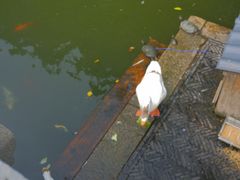-苏州文庙(姑苏区)