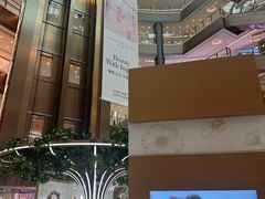 -港汇恒隆广场
