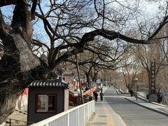 -南长河公园