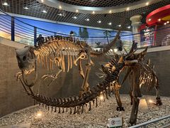 -国家自然博物馆