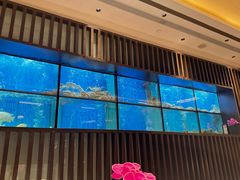 -珍宝海鲜JUMBO Seafood(尚嘉店)