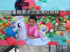 -三亚湾红树林度假世界(木棉酒店)