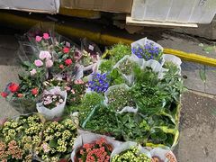 -循礼门鲜花花市(武汉循礼门店)