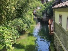 -趵突泉景区