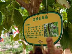 -北戴河集发农业梦想王国
