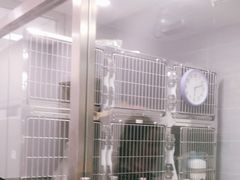 -宠福鑫康馨动物医院·骨科·眼科