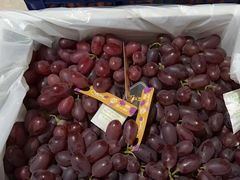 -江杨农产品批发市场