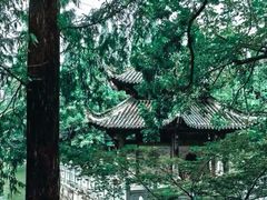 -习家池