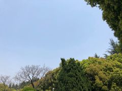 -宋庆龄陵园