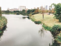 -眉山湿地公园(东坡区)