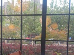 -荷风细雨·中国茶宴(碧云店)