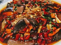 -院8里·少城记忆老川菜(宽窄巷子店)