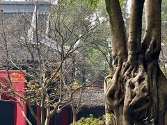 -成都武侯祠博物馆