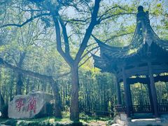 -兰亭风景区