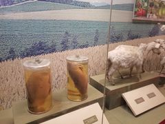 -中国农业博物馆