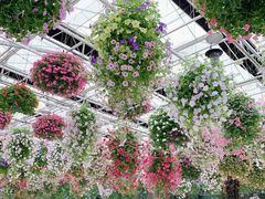 -常州花鸟园酒店(西太湖品牌优选店)