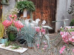 -蜜桃餐厅·古运河畔(南下塘店)