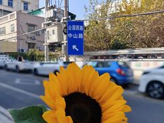 -溪岸路花鸟市场